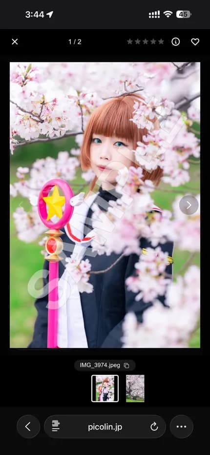 SAMPLEウォーターマーク付きの写真表示